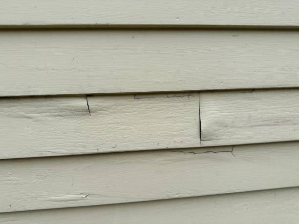 Best Stucco Siding  in Ball, LA